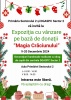 Expoziție dedicată sărbătorilor de iarnă la sediul Primăriei Sectorului 2.