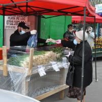 Dsc 0006