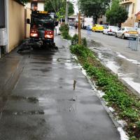 Dsc 0019